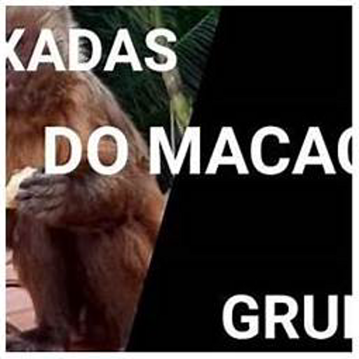 Puxadas do Macaco